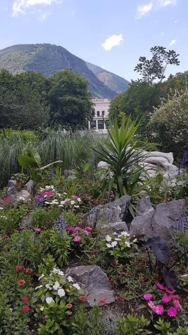 Grand T2 Calme Et Cosy Au « Pyrenees Palace » Bagnères-de-Luchon 外观 照片